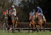 Point to point racing