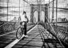 Annual Competition & Exhibition 2013 - Monochrome Prints